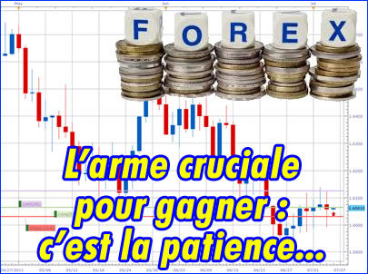 Forex patience